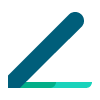 SaaS User
